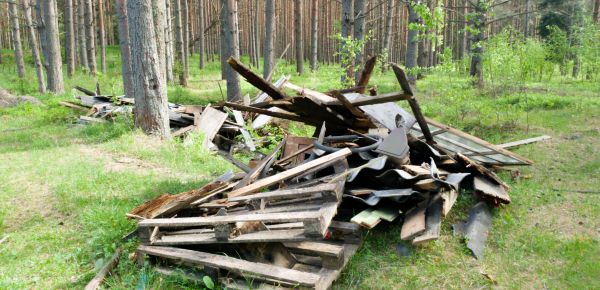 Debris Removal Service in Frankfort