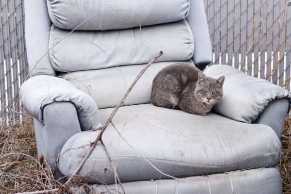 Recliner Disposal in Frankfort