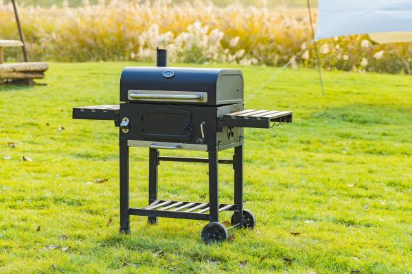 BBQ Removal in Frankfort